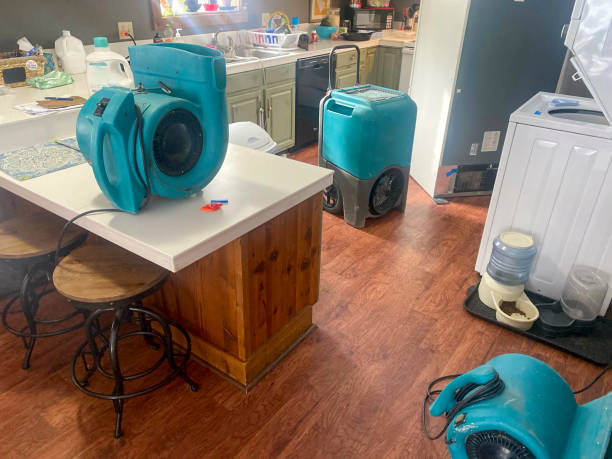 Best 24-hour water damage restoration  in Water Mill, NY