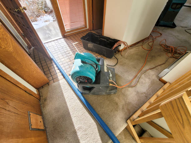 Best Basement water damage restoration  in Water Mill, NY