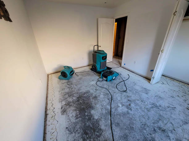 Best Residential water damage restoration  in Water Mill, NY