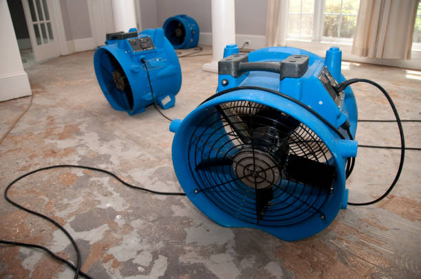 Best Flood restoration services  in Water Mill, NY