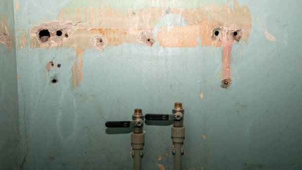 Water damage restoration insurance claims in Water Mill, NY