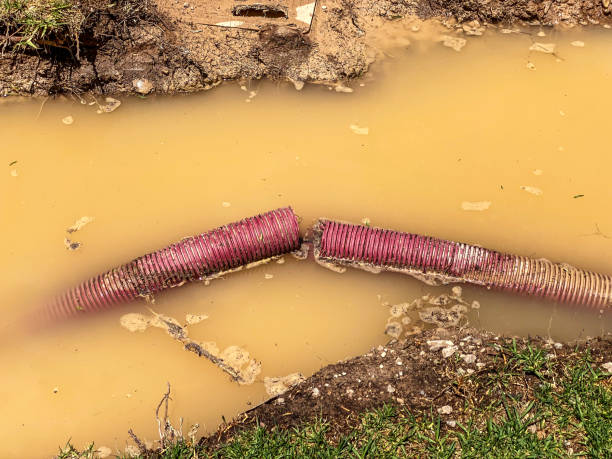 Trusted Water Mill, NY Water damage restoration Experts