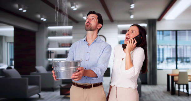 Best Ceiling water damage repair  in Water Mill, NY